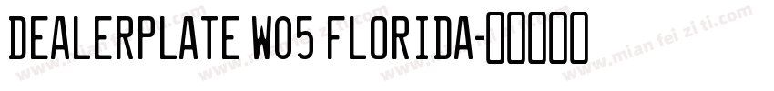 Dealerplate W05 Florida字体转换